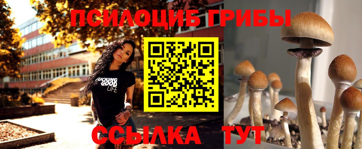 Подольск  Галлюциногенные грибы ЛСД  Вход с VPN 